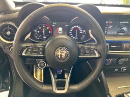 
										Alfa Romeo Stelvio 2.2 Turbodiesel 210 CV AT8 Q4 V full									