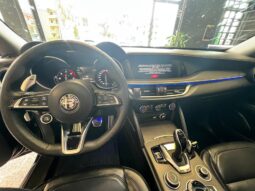 
										Alfa Romeo Stelvio 2.2 Turbodiesel 210 CV AT8 Q4 V full									