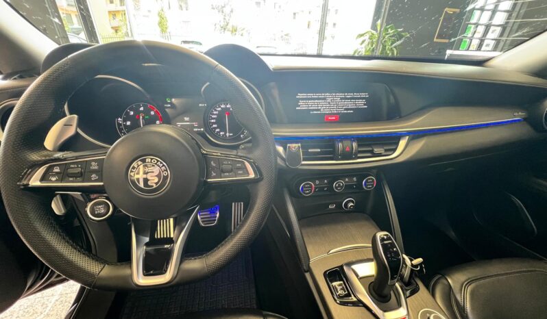 
								Alfa Romeo Stelvio 2.2 Turbodiesel 210 CV AT8 Q4 V full									