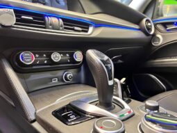 
										Alfa Romeo Stelvio 2.2 Turbodiesel 210 CV AT8 Q4 V full									