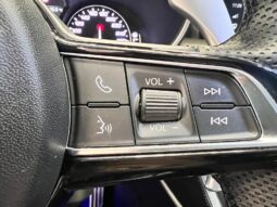 
										Alfa Romeo Stelvio 2.2 Turbodiesel 210 CV AT8 Q4 V full									