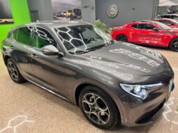 
										Alfa Romeo Stelvio 2.2 AUTOCARRO IVA ESPOSTA full									