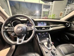 
										Alfa Romeo Stelvio 2.2 AUTOCARRO IVA ESPOSTA full									