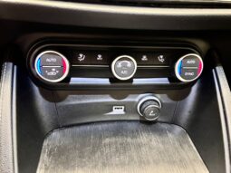
										Alfa Romeo Stelvio 2.2 AUTOCARRO IVA ESPOSTA full									