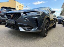 
										Cupra Formentor 1.5 TSI full									