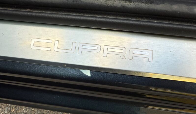 
								Cupra Formentor 1.5 TSI full									