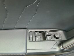 
										Cupra Formentor 1.5 TSI full									
